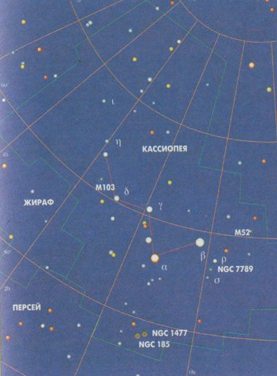 ��������� Cassiopeja - ���������
